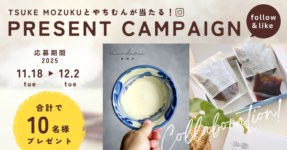 follow-like-campaign-2025